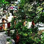 Hotel Lord Bagenal