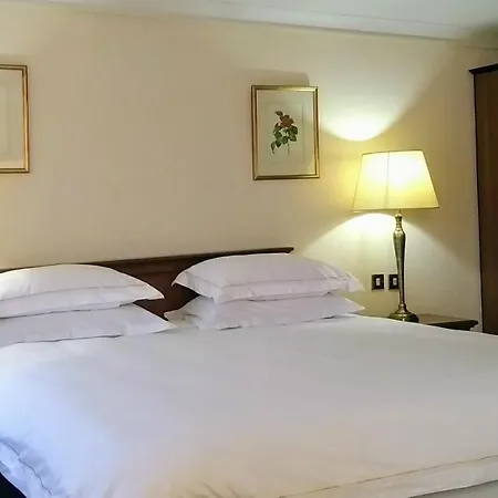 Отель Lord Bagenal 4*