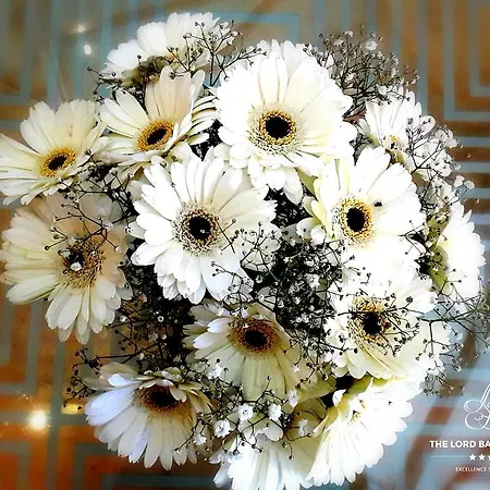 Отель Lord Bagenal